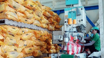 Ngăn chặn các hành vi đầu cơ mặt hàng gạo