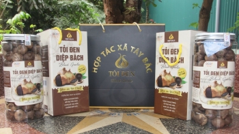 Đưa thương hiệu tỏi đen Yên Châu vươn xa
