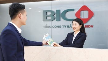 BIC ghi nhận lợi nhuận 6 tháng 2023 tăng hơn 70% so với cùng kỳ