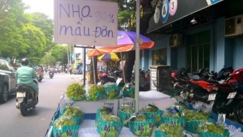 Nho mẫu đơn Trung Quốc giá "siêu rẻ", sầu riêng bị đẩy giá lên cao bất thường