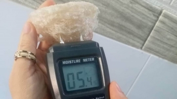 'Thủ phủ' nuôi yến đang hoàn thiện những công đoạn cuối cùng để đưa 'vàng trắng' sang Trung Quốc