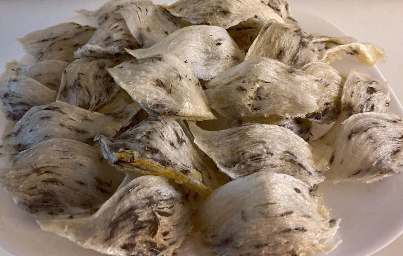 Yến sào của VN tiềm năng rất lớn nhưng hiện tại chỉ được xuất khẩu tiểu ngạch.