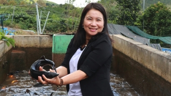 Người con gái xứ Nghệ thành tỷ phú nhờ nuôi cá tầm và trồng dược liệu trên vùng Tây Nguyên