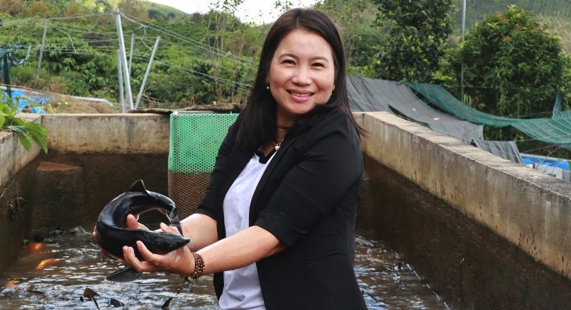 Những con cá tầm thương phẩm đã mang lại cho chị Bắc doanh thu 4-5 tỷ đồng mỗi năm. Những con cá tầm thương phẩm đã mang lại cho chị Bắc doanh thu 4-5 tỷ đồng mỗi năm.