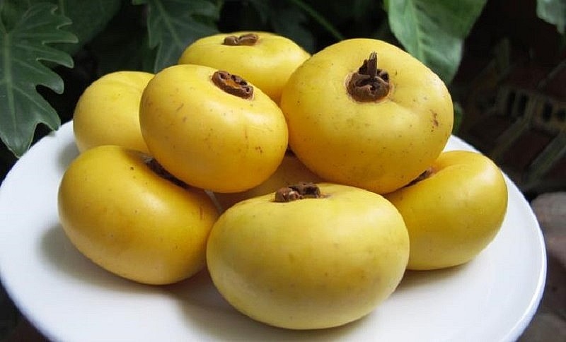 Quả thị thơm và nhiều ý nghĩa nên được ưa chuộng.