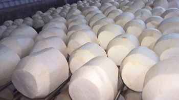 Dừa tươi tăng giá hơn gấp đôi, nho nhập khẩu giá rẻ như rau