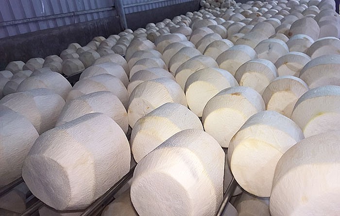 Dừa tươi (loại gọt hết vỏ xanh và để vỏ trắng) Dừa tươi (loại gọt hết vỏ xanh và để vỏ trắng)