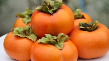 Quả hồng giòn mang nhiều lợi ích sức khoẻ nhưng khi ăn lưu ý 4 điều này