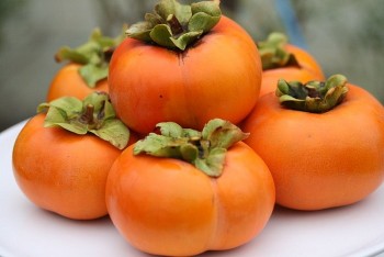 Quả hồng giòn mang nhiều lợi ích sức khoẻ nhưng khi ăn lưu ý 4 điều này