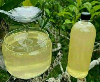 Mật ong trắng như sữa, ai cũng nghĩ là hàng giả, hoá ra là đặc sản mỗi năm chỉ có một mùa