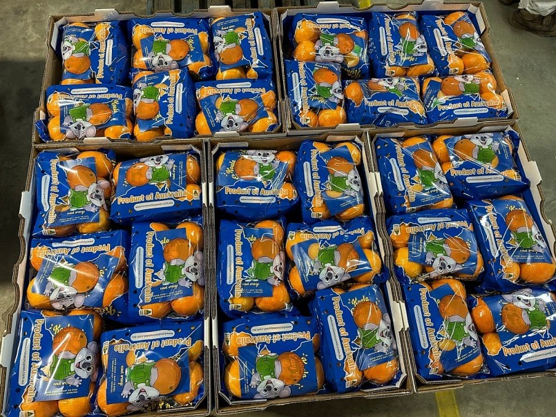 Cam úc có mặt tạ Việt Nam