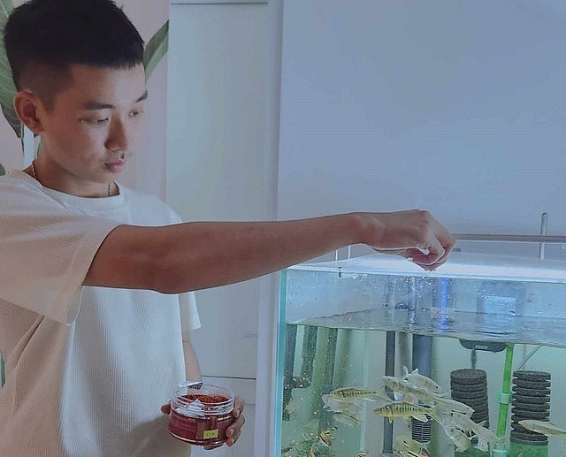 Ngọc Hải đam mê thủy sinh, đặc biệt là các dòng cá bống cảnh. (Ảnh Tấn Đạt).