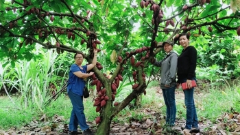 Đánh thức tiềm năng của thủ phủ trái cây Xuân Lộc nhờ kết hợp đa dạng du lịch sinh thái