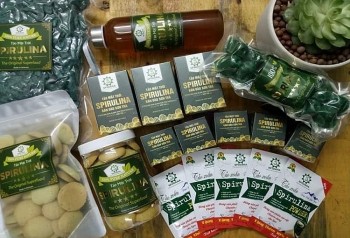 Tạo ra tảo xoắn lạ, 1 Hợp tác xã Đà Nẵng thu nhập tiền tỷ mỗi năm