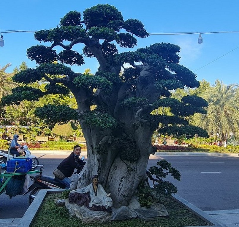 Choáng ngợp trước tuyệt phẩm duối cổ thụ ngàn năm, dáng tựa như tháp Chăm từng được trả 23 tỷ