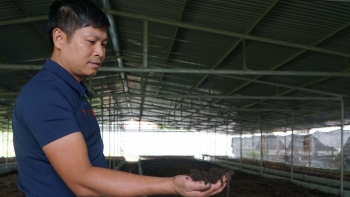 Thầy giáo xứ Thanh rẽ ngang nuôi giun, 15 năm vất vả để có thu nhập tiền tỷ