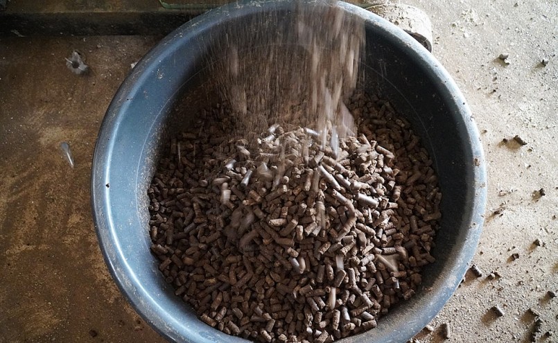 Nguồn phế phẩm sau khi thu hoạch giun quế sẽ được chế biến thành phân hữu cơ bón cho cây trồng. 