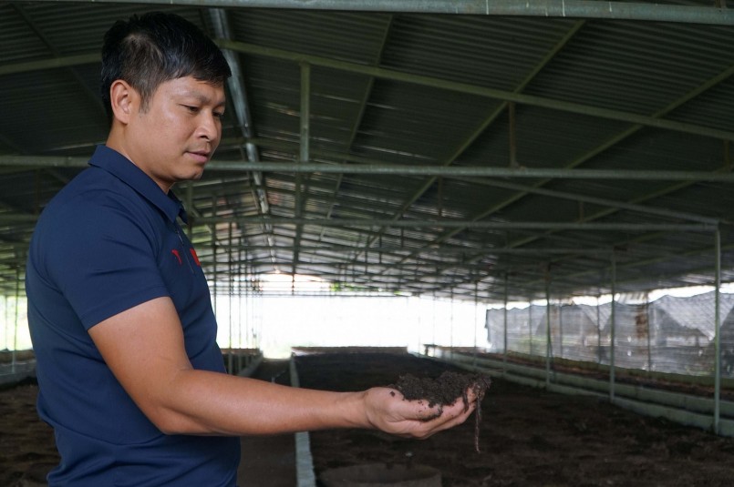 Anh Tỉnh kiểm tra trại nuôi giun quế mỗi ngày.