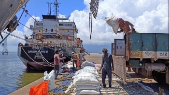 Ấn Độ cho phép xuất khẩu các lô gạo trắng non-basmati bị kẹt tại cảng