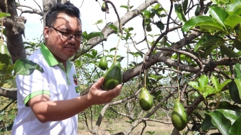 Mang tiếng "học một đằng làm một nẻo" vẫn thu trên 10 tỷ đồng từ "Bơ Ông Hoàng"