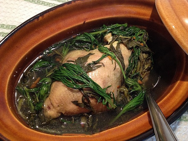 Những công dụng của cây ngải cứu trong sức khỏe và thực phẩm