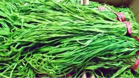 Loại rau có bạt ngàn rất tốt cho sức khỏe nhưng người Việt ít ai ăn