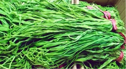 Loại rau có bạt ngàn rất tốt cho sức khỏe nhưng người Việt ít ai ăn