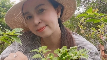 Ớt ngoại giá tới 800 triệu đồng mỗi kg bất ngờ trồng làm cây cảnh ở Việt Nam còn tặng miễn phí