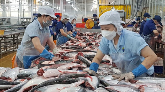 Xuất khẩu cá tra hy vọng vào các thị trường mới