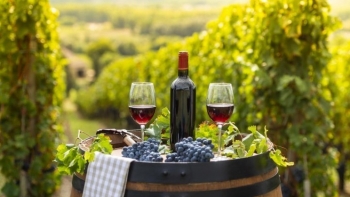 Xử lý "dội chợ" kiểu Pháp, chính phủ chi tiền để nông dân hủy rượu, chặt nho