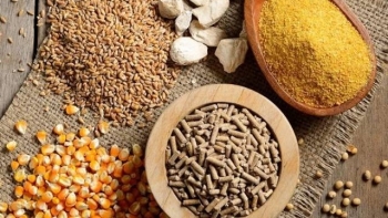 Việt Nam đã chi 2,85 tỷ USD nhập khẩu thức ăn gia súc và nguyên liệu