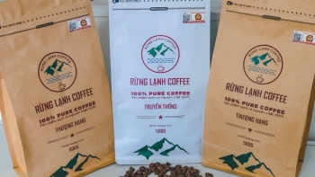 Cà phê Rừng Lạnh - ngon, sạch, đậm vị núi rừng