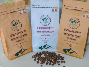 Cà phê Rừng Lạnh - ngon, sạch, đậm vị núi rừng