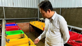 Trại nuôi lươn khủng cỡ nào mà xuất bán 4 tấn mỗi tháng, nông dân thu về 200 triệu đồng?