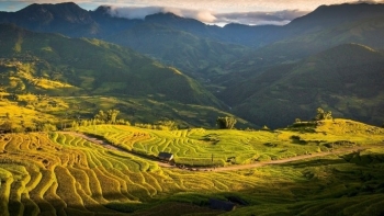 Sa Pa vào chính vụ "mùa vàng", homestay, khách sạn “cháy phòng” dịp 2/9