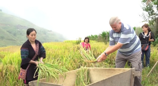 Du khách trải nghiệm mùa vàng ở xã Lao Chải, huyện Sa Pa (Lào Cai). Ảnh: TTXVN