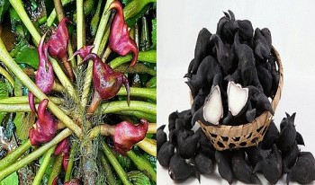 Loại củ được ví là “nhân sâm" của người nghèo, ăn vặt không lo bị béo