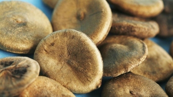 Những lưu ý khi sử dụng hạt mã tiền để tránh ngộ độc