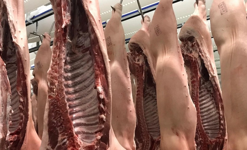 Giá heo hơi hôm nay (03/9) chưa thể khởi sắc trở lại do nhu cầu thị trường chậm.