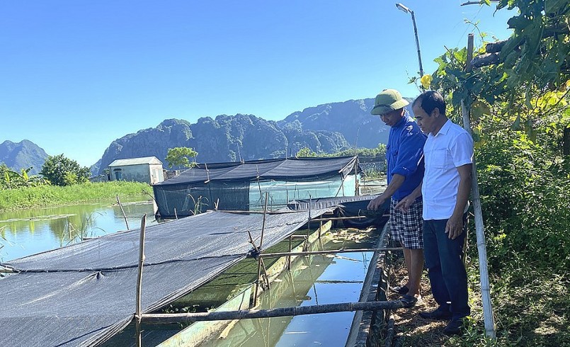 Trang trại của ông Trịnh Đình Chính được nuôi những con đặc sản có giá trị kinh tế cao.