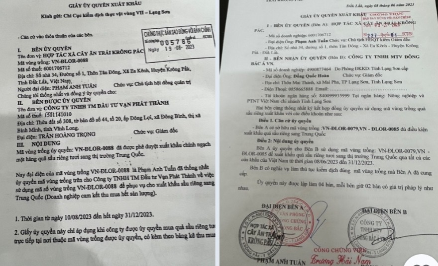 Xuất hiện các giấy ủy quyền 