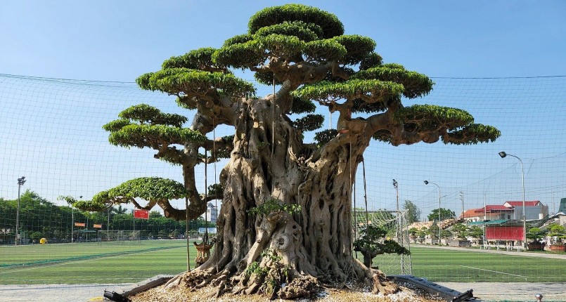 Tác phẩm Phúc Âm Nhất của chủ nhân Hoàng Văn Khải đến từ xã Hải Sơn.