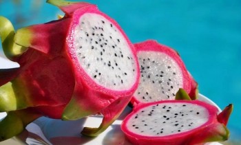 Thách thức bủa vây trái thanh long Việt khi một số siêu thị tại Anh bất ngờ dừng bán do dư lượng thuốc trừ sâu