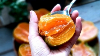 Loại hồng có ruột lòng đào trứng gà, giá hơn trăm nghìn một kg vẫn đắt hàng