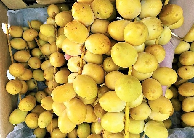 Chà là tươi nhập khẩu giá rẻ nhất từ trước tới nay