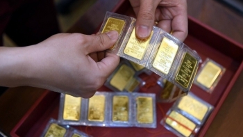 Giá vàng hôm nay ngày 5/9/2023: Vàng trong nước ổn định bất chấp giá thế giới suy giảm