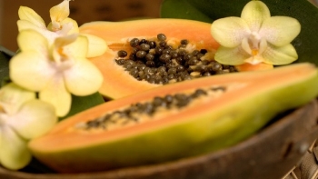 Tác dụng tuyệt vời của đu đủ mà không phải ai cũng biết