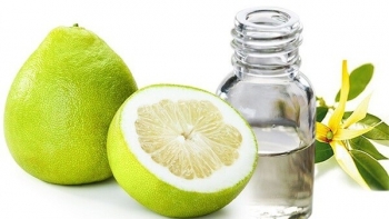 Tinh dầu bưởi và những lợi ích không ngờ đối với sức khỏe