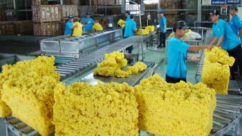 Xuất khẩu cao su thu về 1,59 tỷ USD trong 8 tháng