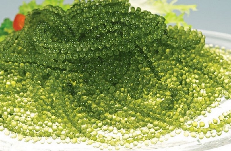 Loại rau được ví là “thần dược” của biển, nước ta trồng nhiều nhưng ít người biết ăn